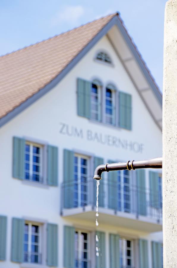Gasthaus Zum Bauernhof Oberlunkhofen المظهر الخارجي الصورة