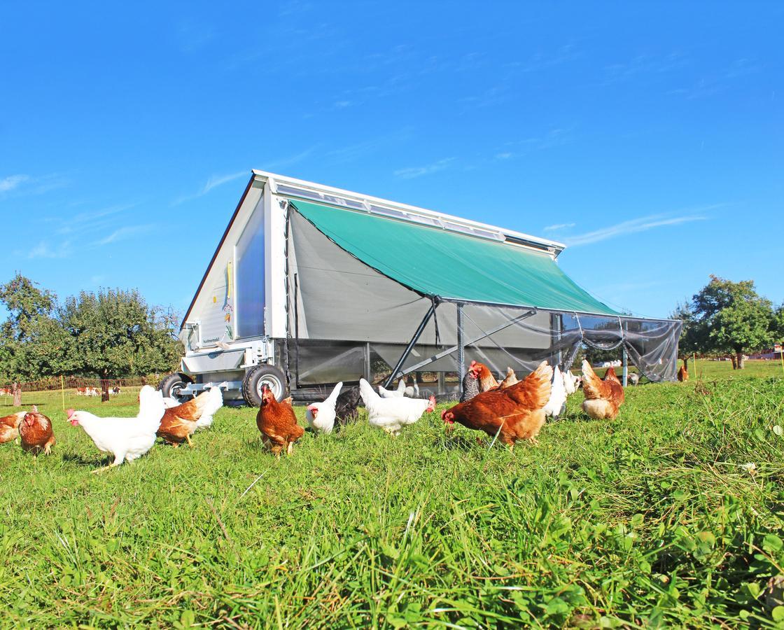 Gasthaus Zum Bauernhof Oberlunkhofen المظهر الخارجي الصورة